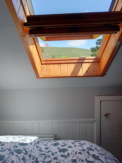 Appartamento Dingle Escape -2 Bed -Sleeps 4 Esterno foto
