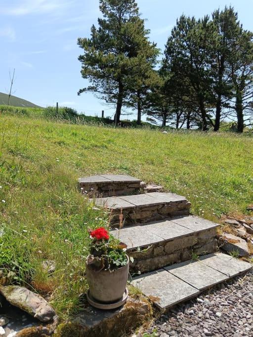 Appartamento Dingle Escape -2 Bed -Sleeps 4 Esterno foto
